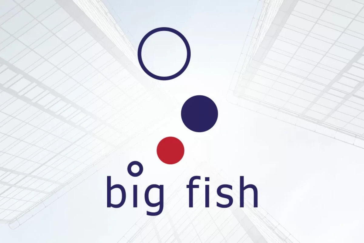 Ankieta Big Fish Polska dla pracowników działu zakupów | Big Fish Sp. z o.o.