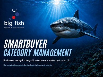 SmartBuyer Category Management | BIG FISH S.C.