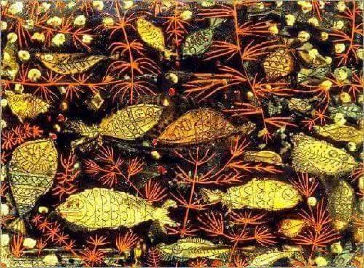 Strategia zakupowa vs rzeczywistość – co pokazują dane ? | Big Fish Sp. z o.o.